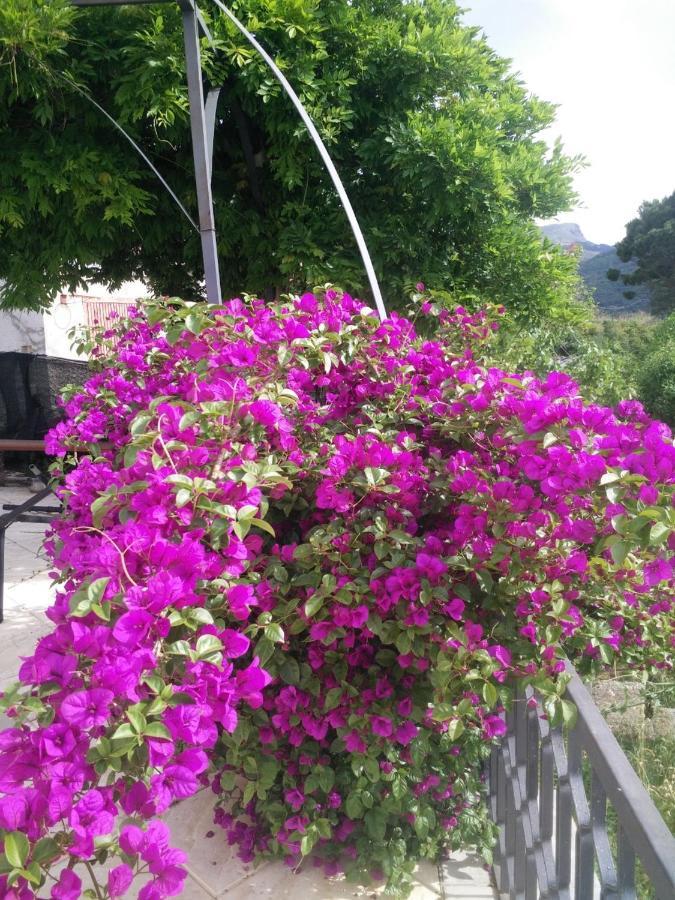 Incantevole Villa Con Vista Mozzafiato Cefalù Εξωτερικό φωτογραφία