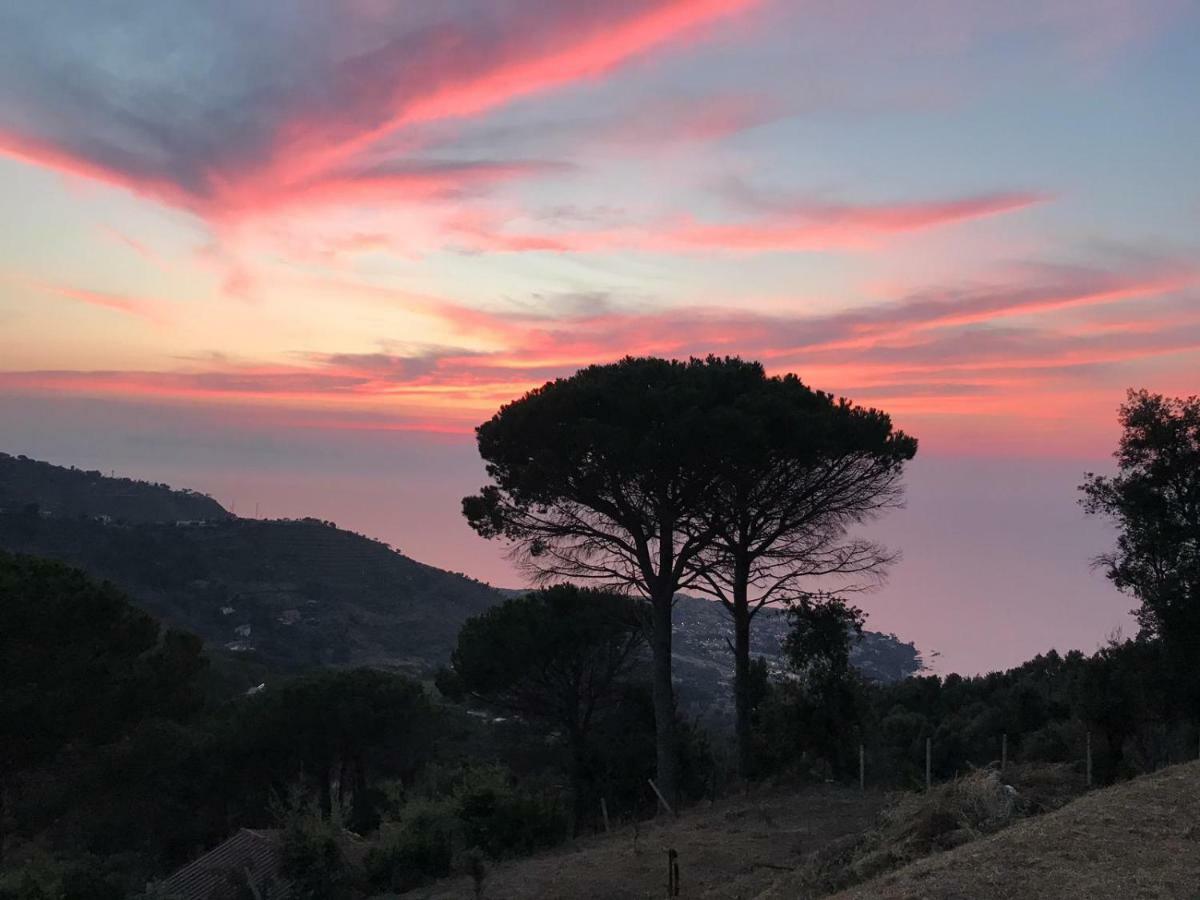Incantevole Villa Con Vista Mozzafiato Cefalù Εξωτερικό φωτογραφία