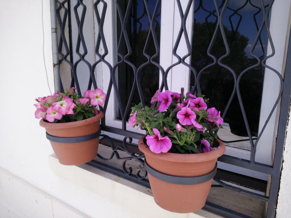 Incantevole Villa Con Vista Mozzafiato Cefalù Εξωτερικό φωτογραφία